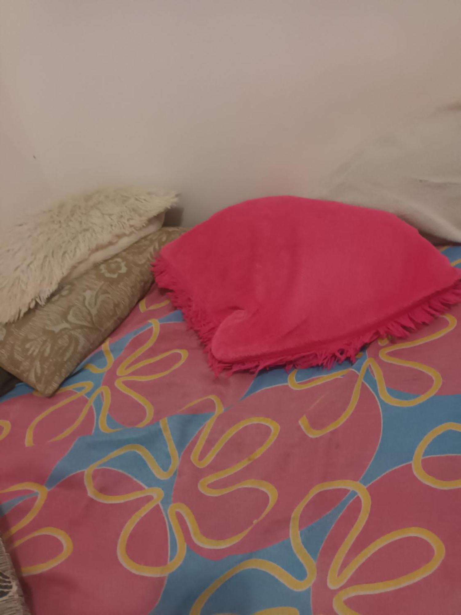 Simpatico Compartilhado Ipanema Apartemen